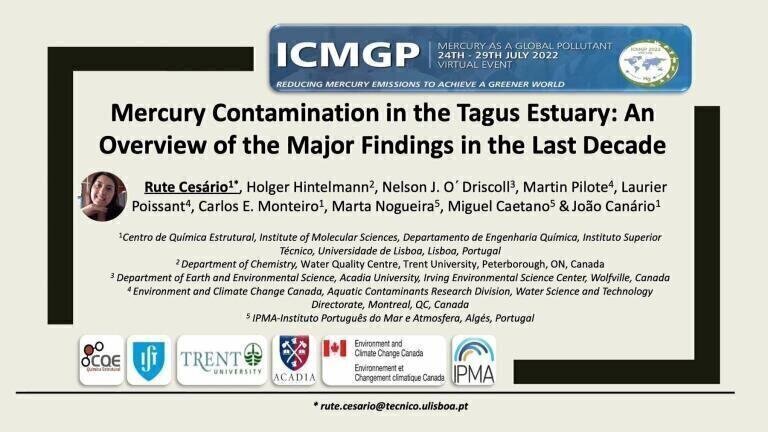 Mercury Contamination in the Tagus Estuary: An Overview of the Major Findings in the Last Decade
